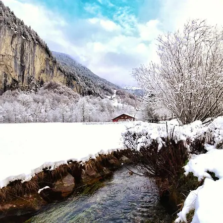 Breithorn - Charming - Free Parking & Wifi Appartement *